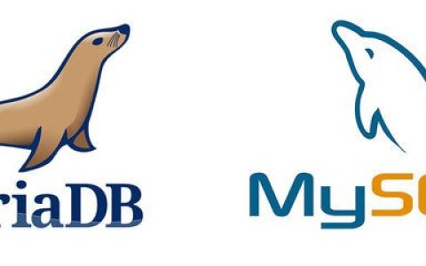 关于mysql_info()函数的10篇文章推荐