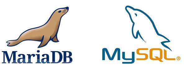 关于mysql_info()函数的10篇文章推荐