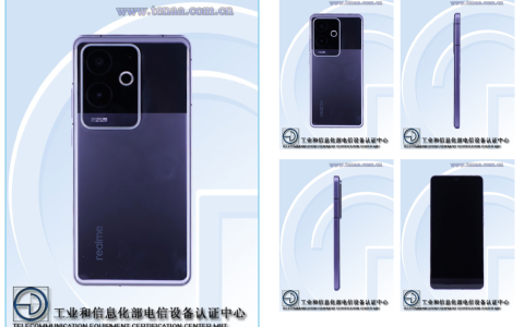 realme 真我 GT6 公布证件照及主要参数：矩形相机模组，骁龙 8 Gen 3 处理器