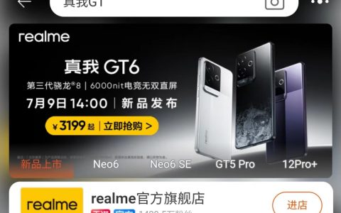 烟雾弹还是真价格？淘宝提前曝光 realme 真我 GT6 手机售价 3199 元起