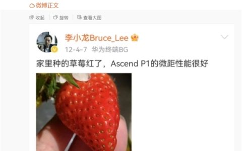 跨越12年的对比！李小龙晒华为P1、Pura 70 Ultra微距照片：变显微镜了