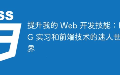 提升我的 Web 开发技能：HNG 实习和前端技术的迷人世界