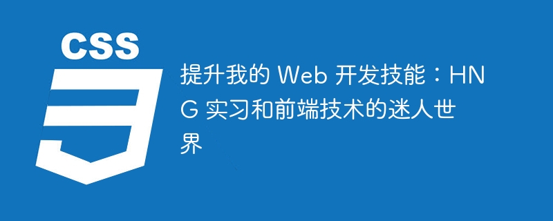 提升我的 web 开发技能:hng 实习和前端技术的迷人世界