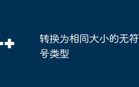 转换为相同大小的无符号类型