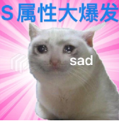 《第一章,留子回家,高调迎回白月光》