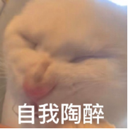 《第一章,留子回家,高调迎回白月光》