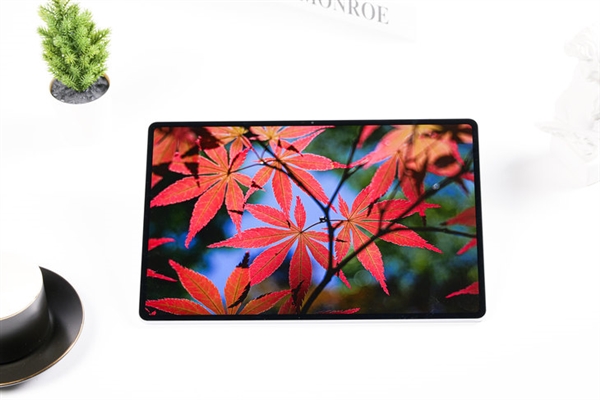 同档最好的OLED屏!荣耀平板MagicPad2上手