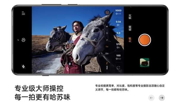 一加13什么时候上市 上市时间和价格