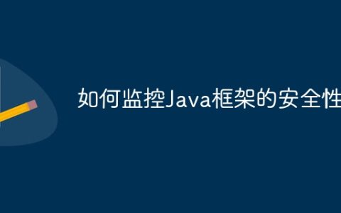 如何监控Java框架的安全性？