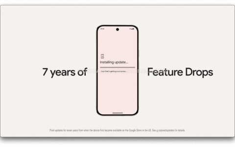 首次非最新版本，谷歌 Pixel 9 系列手机被曝预装安卓 14 系统