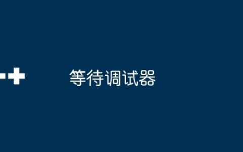 等待调试器