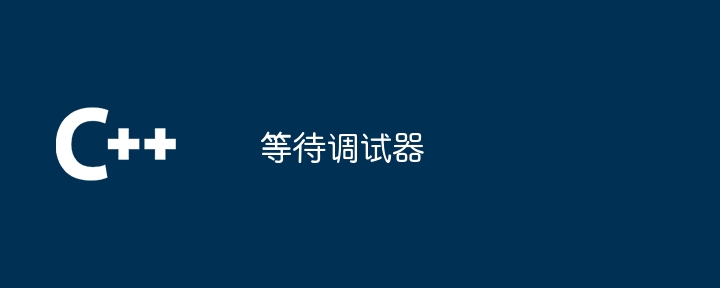 等待调试器