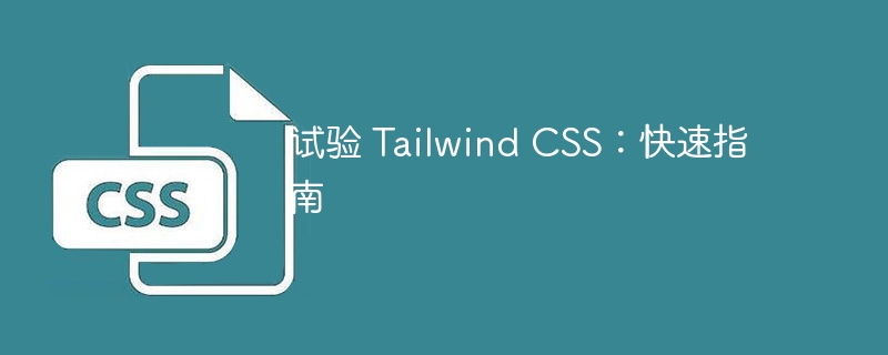 试验 tailwind css:快速指南