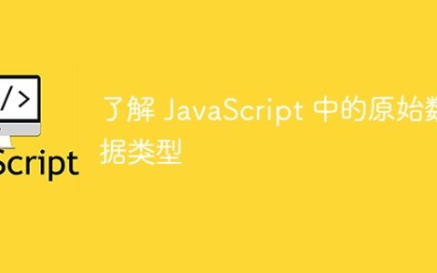 了解 JavaScript 中的原始数据类型