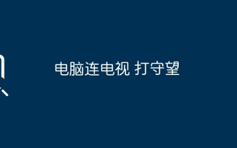 电脑连电视 打守望