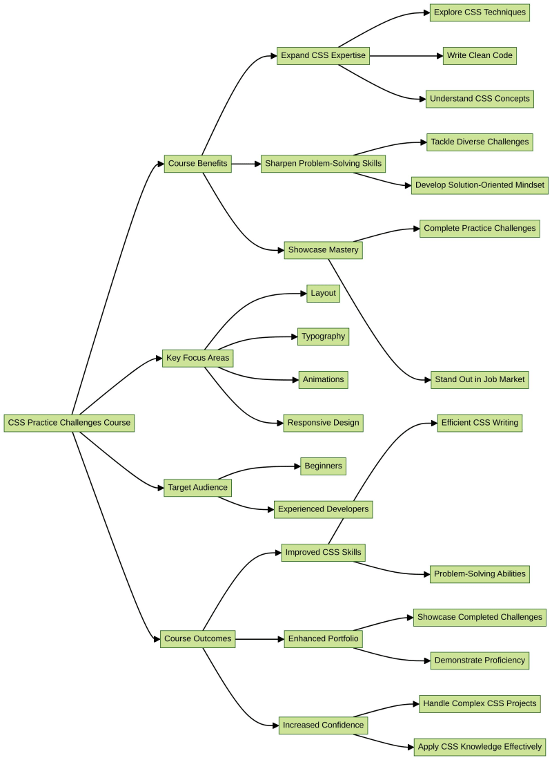 掌握 CSS:终极 CSS 实践挑战课程
