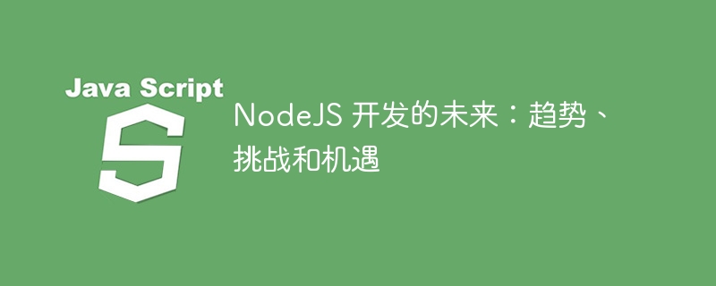 nodejs 开发的未来:趋势、挑战和机遇