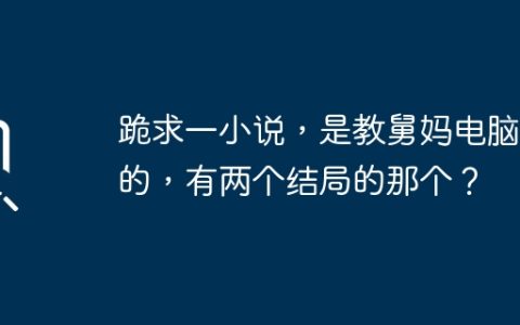 跪求一小说，是教舅妈电脑课的，有两个结局的那个？