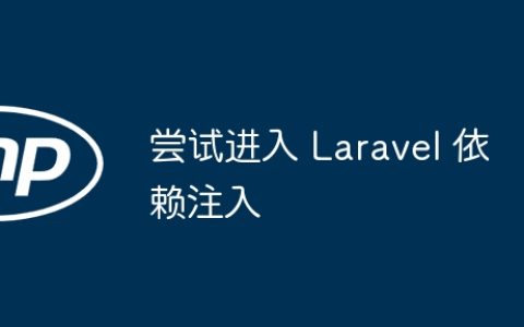 尝试进入 Laravel 依赖注入