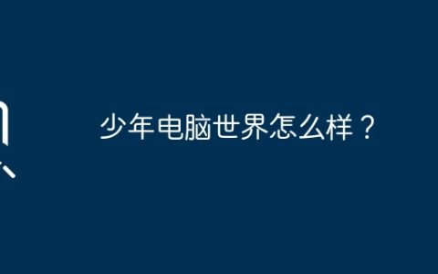 少年电脑世界怎么样？