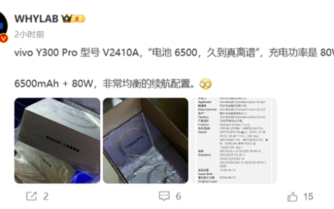 vivo Y300 Pro即将发布：80W快充+6500mAh大电池