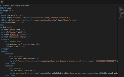 逐步构建网页：探索 HTML 中的结构和元素