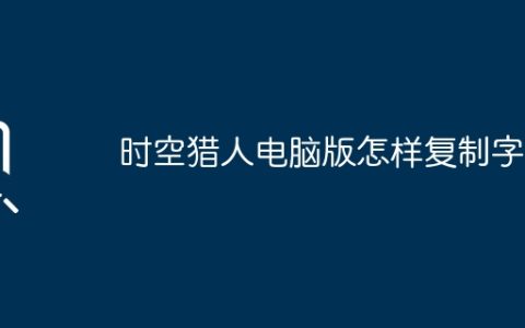 时空猎人电脑版怎样复制字？
