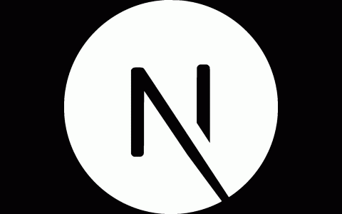 探索高级 React：释放 Nextjs 的力量