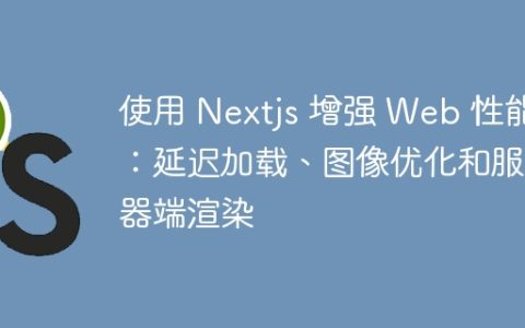 使用 Nextjs 增强 Web 性能：延迟加载、图像优化和服务器端渲染