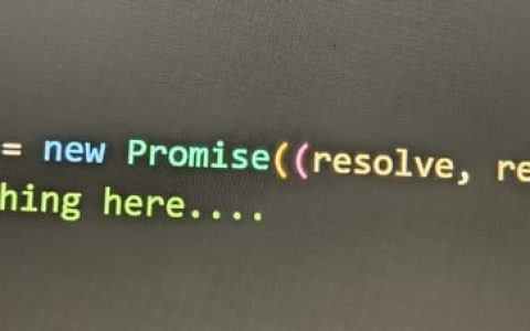 JavaScript 中的 Promise