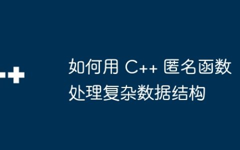 如何用 C++ 匿名函数处理复杂数据结构