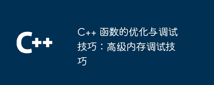 C++ 函数的优化与调试技巧:高级内存调试技巧