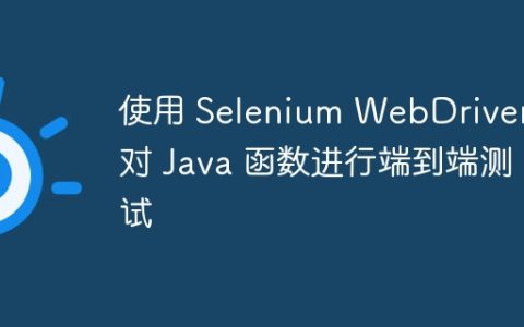 使用 Selenium WebDriver 对 Java 函数进行端到端测试
