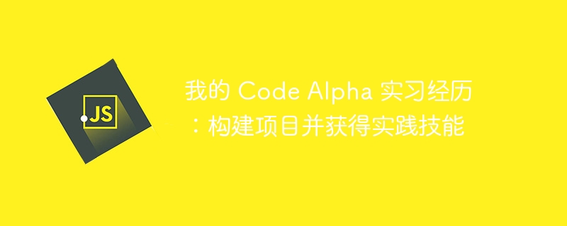我的 code alpha 实习经历:构建项目并获得实践技能