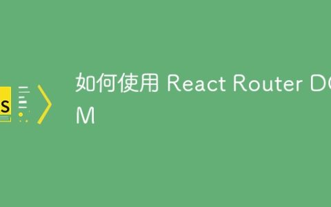 如何使用 React Router DOM