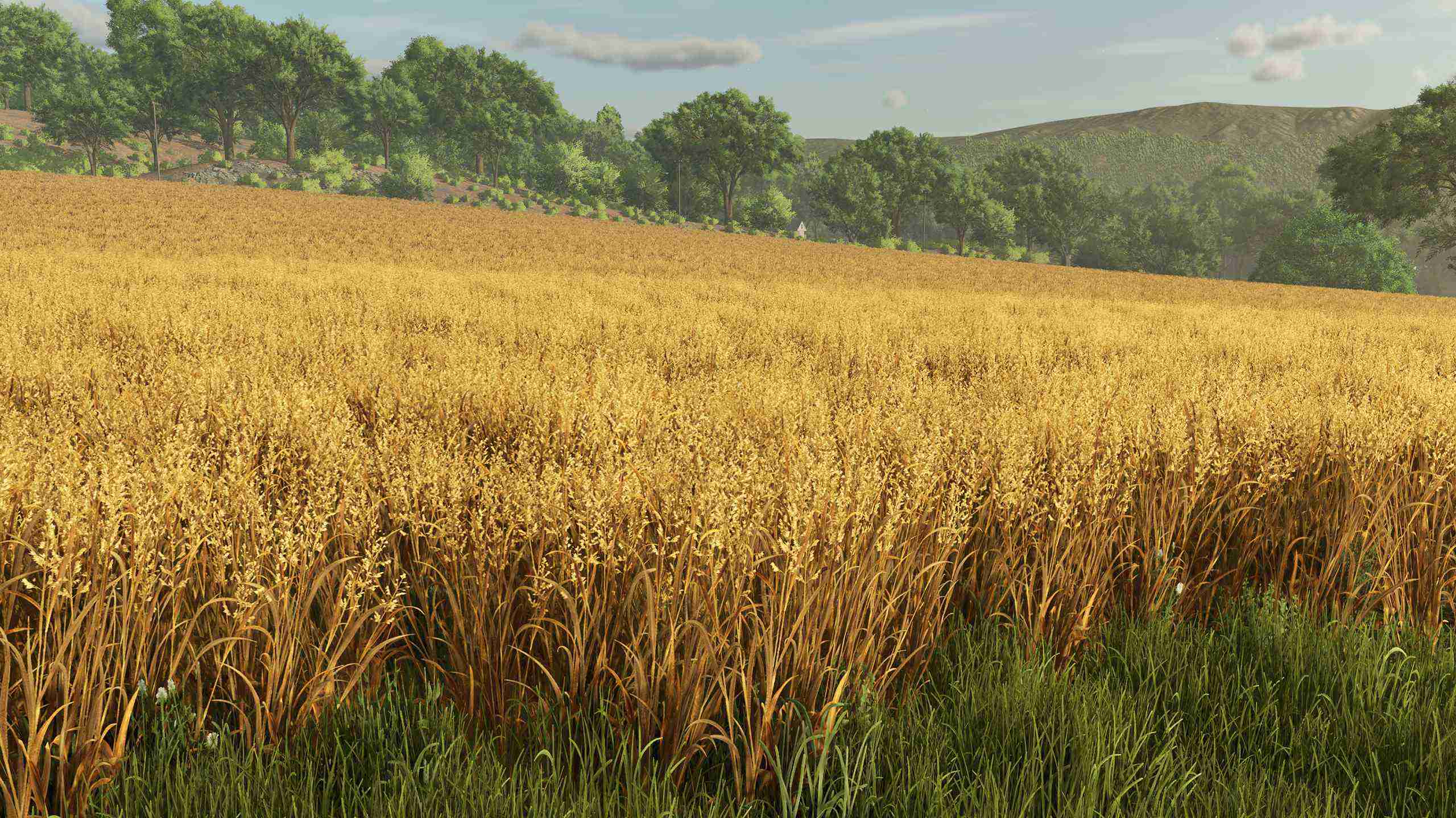 《Farming Simulator 25》将于2024年11月12日发售