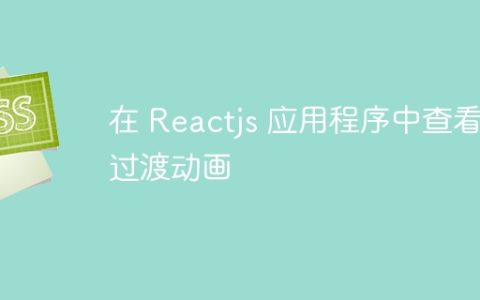 在 Reactjs 应用程序中查看过渡动画