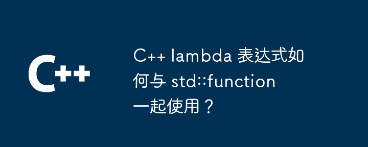 C++ lambda 表达式如何与 std::function 一起使用?