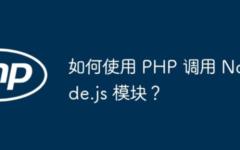 如何使用 PHP 调用 Node.js 模块？