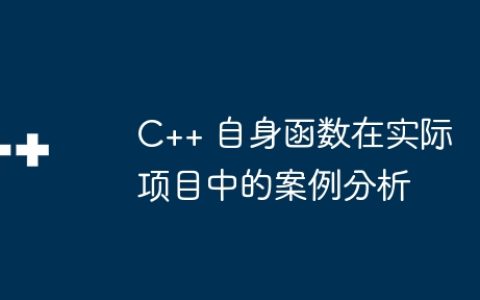 C++ 自身函数在实际项目中的案例分析
