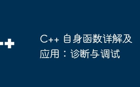C++ 自身函数详解及应用：诊断与调试