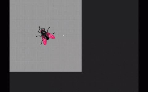 《Insect Particlizer》像素操作与 CSS 结合的实验