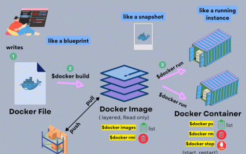 Docker Python Django 初始配置设置