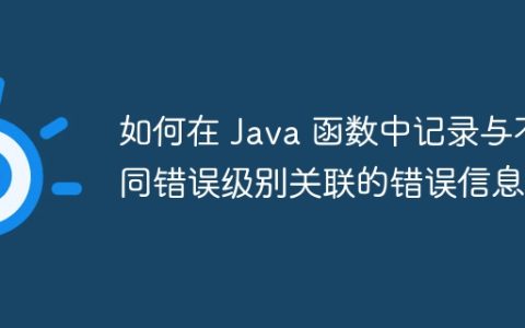 如何在 Java 函数中记录与不同错误级别关联的错误信息