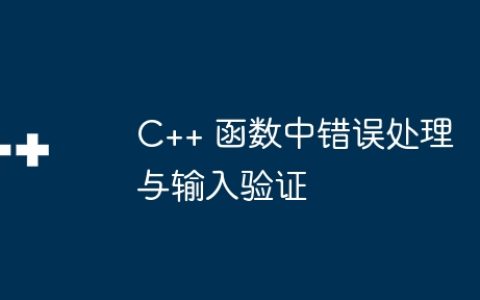 C++ 函数中错误处理与输入验证