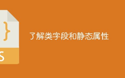 了解类字段和静态属性
