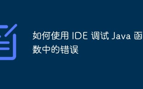 如何使用 IDE 调试 Java 函数中的错误
