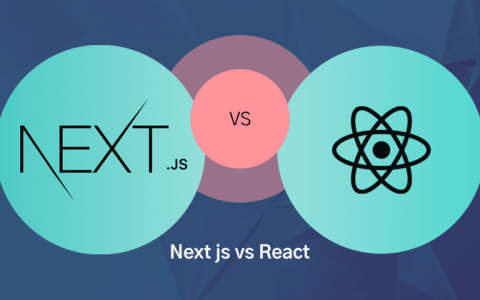 何时使用 Nextjs 与 Reactjs
