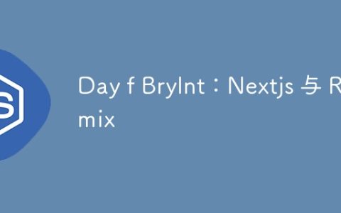 Day f Brylnt：Nextjs 与 Remix