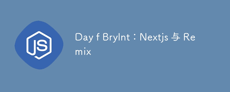 day f brylnt:nextjs 与 remix